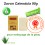 Savon Calendula 90g